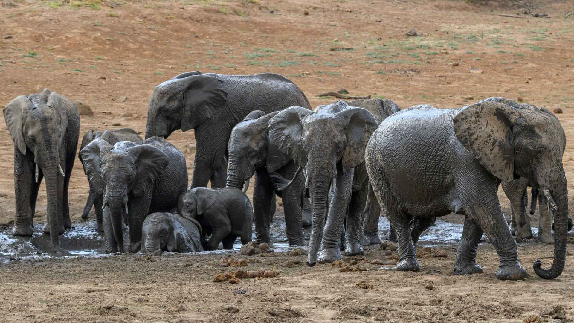 HOT CARES SOCIAL IMAGE (1920 x 1080 px) - 1