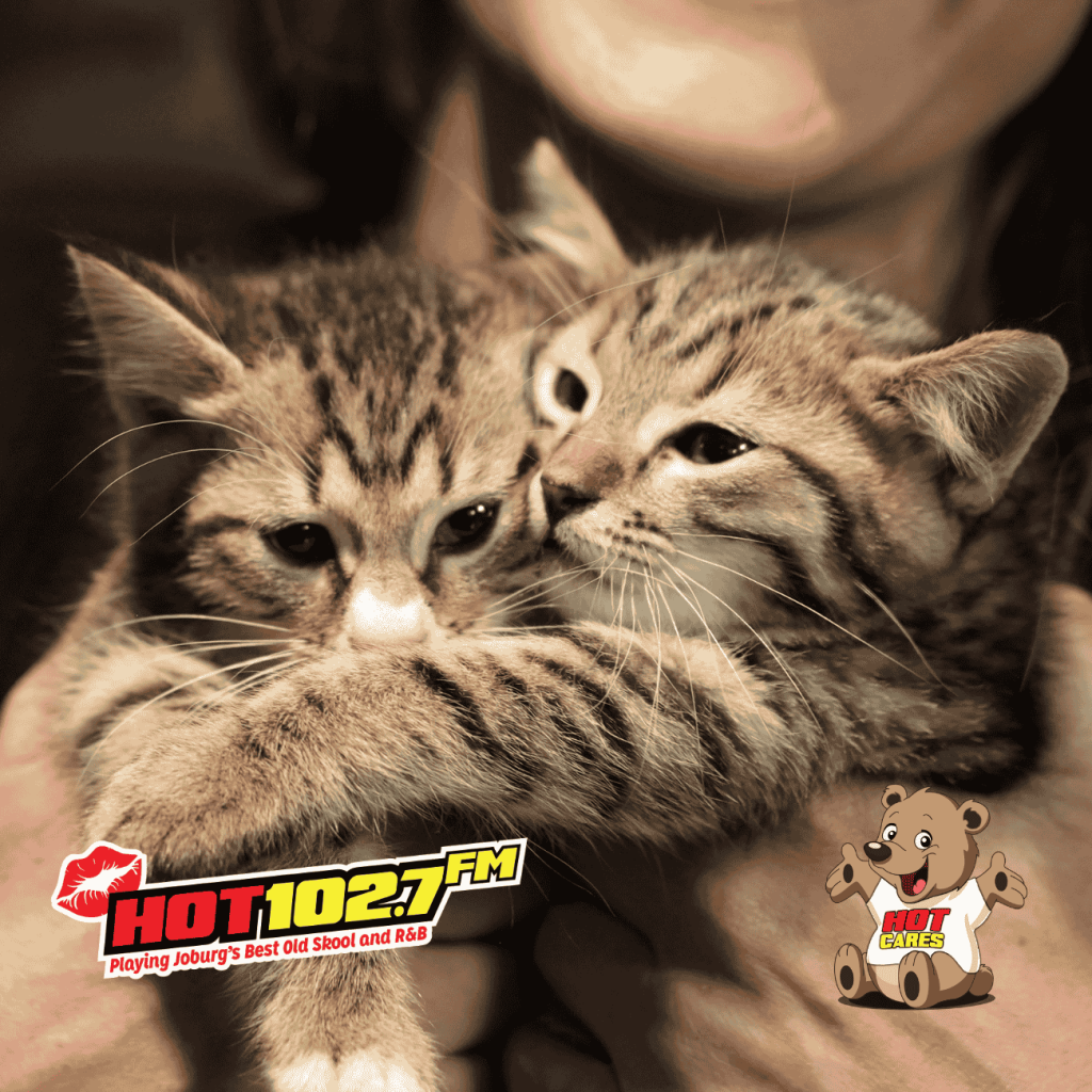 Hot Cares Steps In to Support Sun Sun's Journey of Development