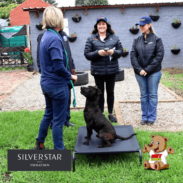 Hot Cares Steps In to Support Sun Sun's Journey of Development