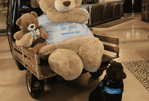 Teddython 2025 proves there’s nothing small about the spirit of giving