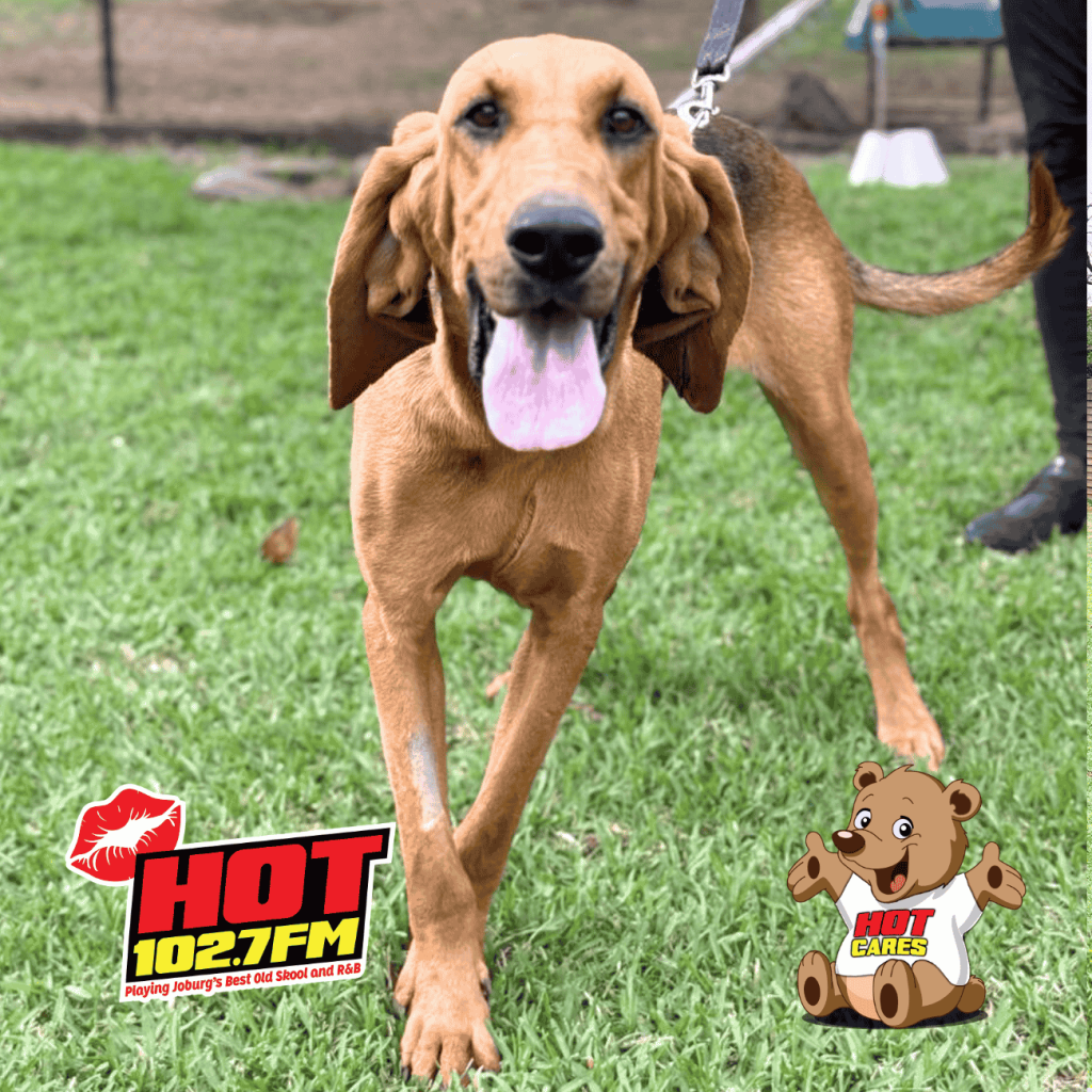 Hot Cares Steps In to Support Sun Sun's Journey of Development