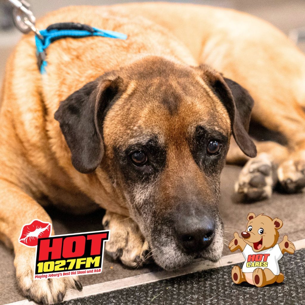 Hot Cares Steps In to Support Sun Sun's Journey of Development